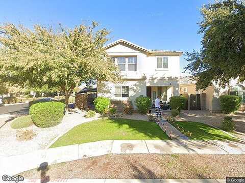 Orchid, GILBERT, AZ 85296