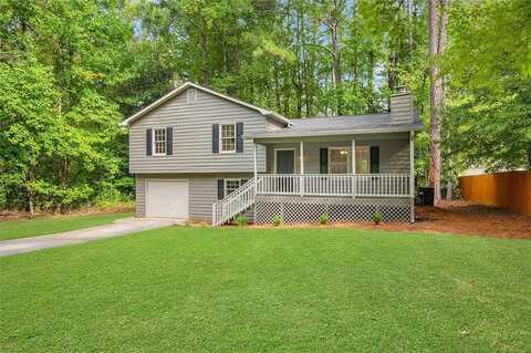Black Gum, KENNESAW, GA 30152