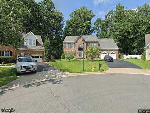 Tiger, WOODBRIDGE, VA 22192