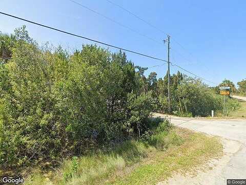 Coon, CRYSTAL RIVER, FL 34429