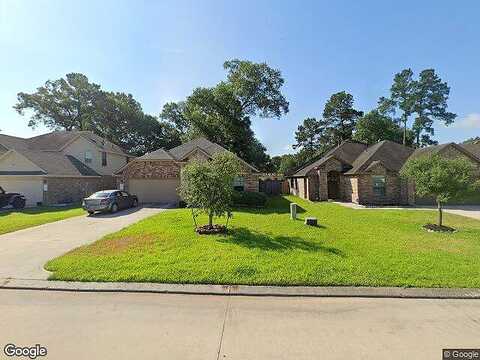 Shire Horse, PORTER, TX 77365