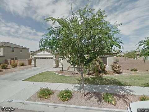 Canary, QUEEN CREEK, AZ 85142