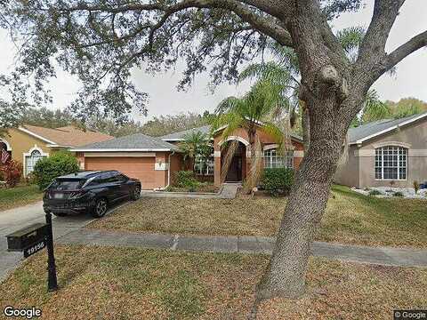 Dove Creek, TAMPA, FL 33647