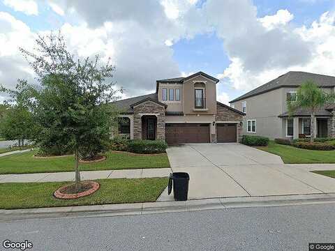 Tonka, WESLEY CHAPEL, FL 33543