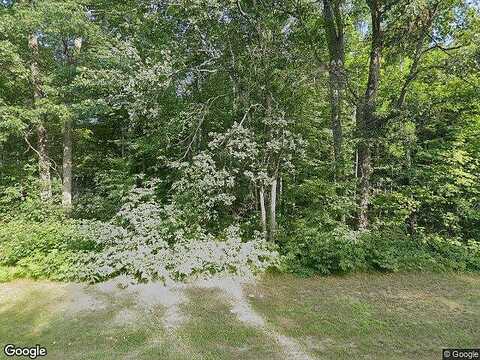 Wolf, CROSSLAKE, MN 56442