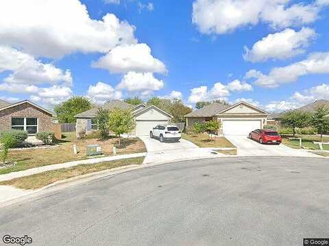 Coffee Tree, NEW BRAUNFELS, TX 78130