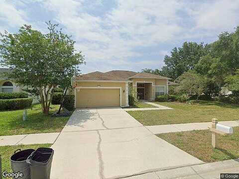 Marlberry, ODESSA, FL 33556