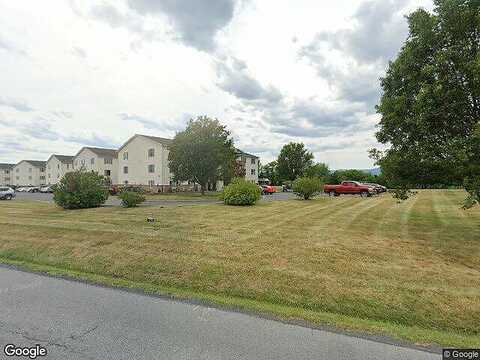 Ox, WOODSTOCK, VA 22664