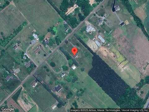 Tilia, BEALETON, VA 22712