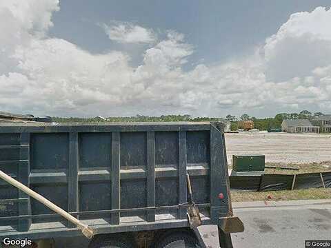 Turtle, PANAMA CITY BEACH, FL 32413