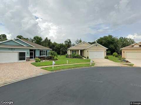 Mollymawk, NEW PORT RICHEY, FL 34654