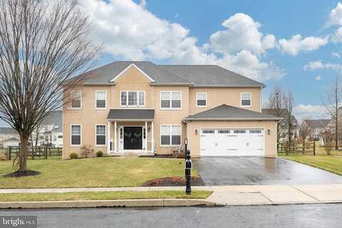 Ava, GILBERTSVILLE, PA 19525