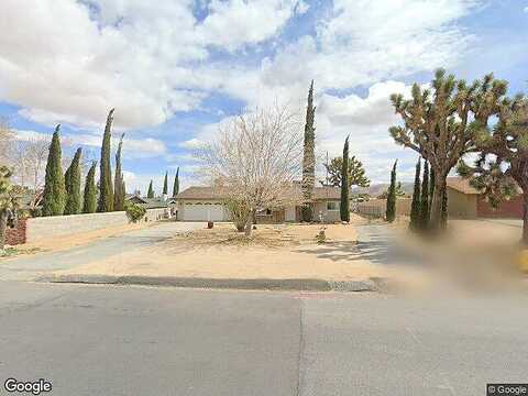 Joshua, YUCCA VALLEY, CA 92284
