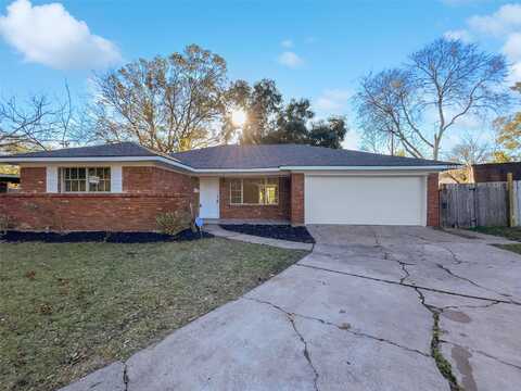 Ariel, HOUSTON, TX 77074