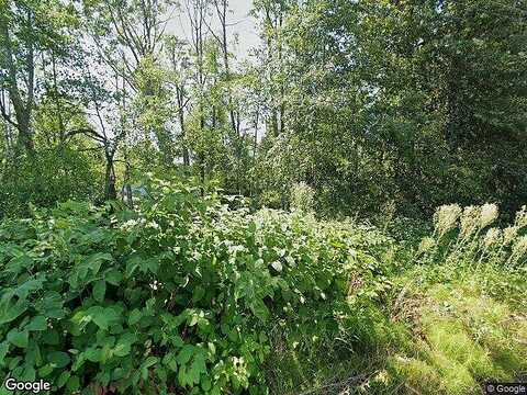 115Th, BELLEVUE, WA 98006