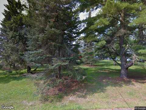 Birchwood, EMILY, MN 56447