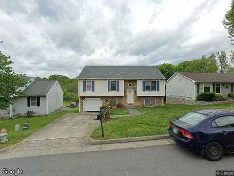 Elm, VINTON, VA 24179