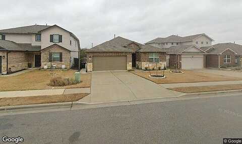 Empress Tree, LEANDER, TX 78641