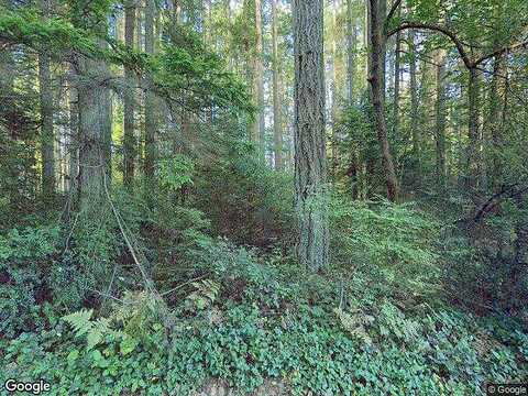 Manzanita, BAINBRIDGE ISLAND, WA 98110