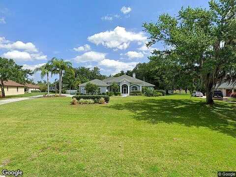 Spring Mountain, YALAHA, FL 34797