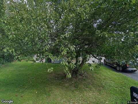 Pine, MOUNT HOLLY SPRINGS, PA 17065