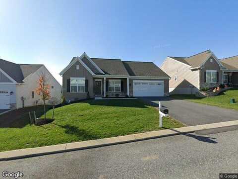Orchid, LEBANON, PA 17046