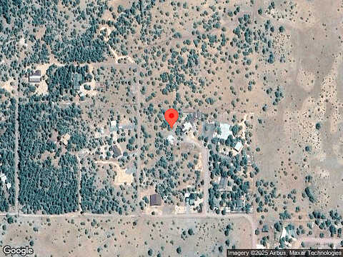 Coyote, LAKESIDE, AZ 85929