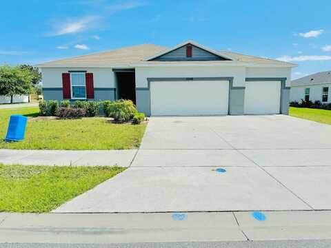 Crossandra, MASCOTTE, FL 34753