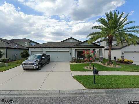 Briske Morning, LAND O LAKES, FL 34637