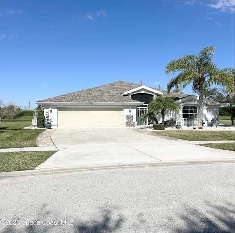 Weeping Elm, PORT ORANGE, FL 32128