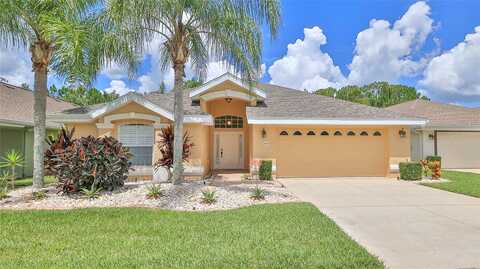 Areca Palm, PORT ORANGE, FL 32128