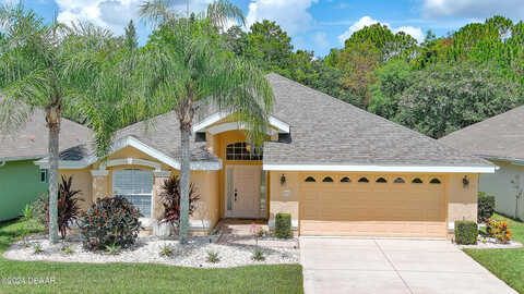 Areca Palm, PORT ORANGE, FL 32128