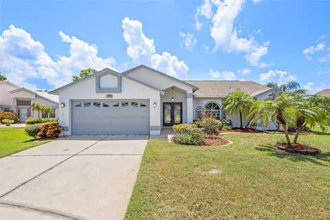Muffin, HUDSON, FL 34667