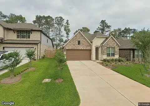 Winged Elm, WILLIS, TX 77318