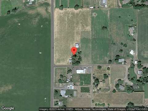 Rooster, WALLA WALLA, WA 99362