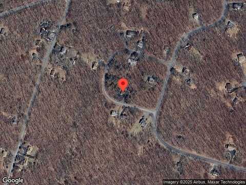 Oppossum, BUSHKILL, PA 18324