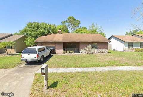 Panthera, ORLANDO, FL 32822