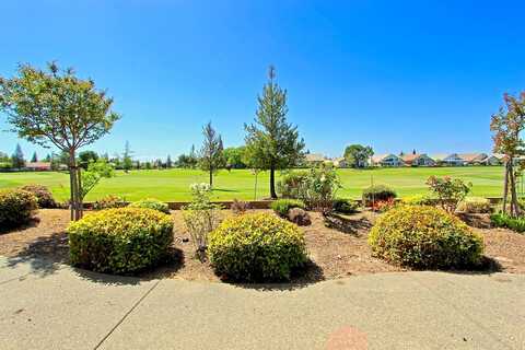 Buckskin, ROSEVILLE, CA 95747