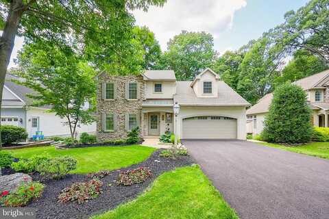 Sassafras, LITITZ, PA 17543