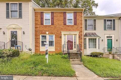 Lambkin, LORTON, VA 22079
