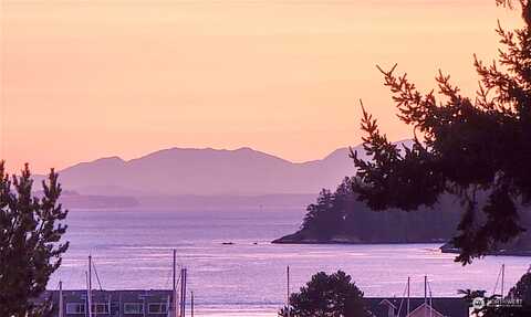 Sugarloaf, ANACORTES, WA 98221