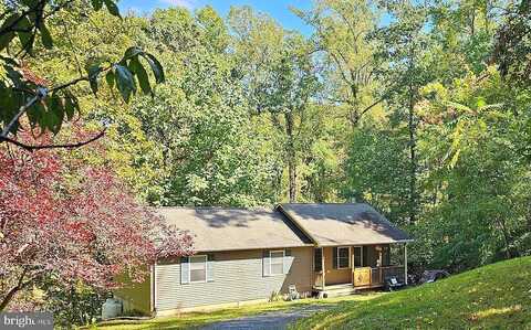 Mockingbird, LINDEN, VA 22642