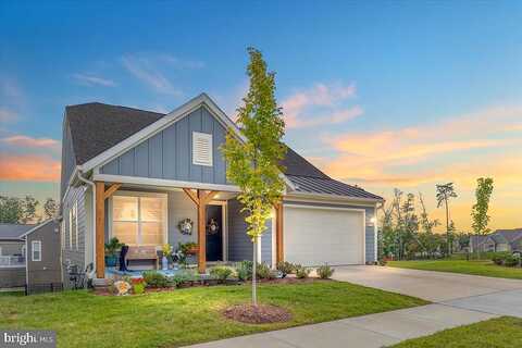 Viceroy, LAKE FREDERICK, VA 22630