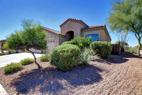 Jack Oak, TUCSON, AZ 85756
