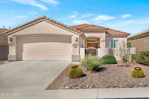 Desert Eagle, MARANA, AZ 85658
