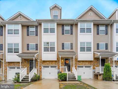 Old Elm, CONSHOHOCKEN, PA 19428