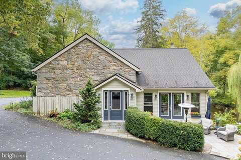 Orchid, EMMAUS, PA 18049