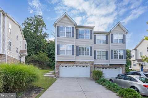 Wilde, DREXEL HILL, PA 19026