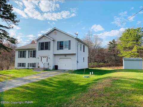 Cinnamon, LONG POND, PA 18334