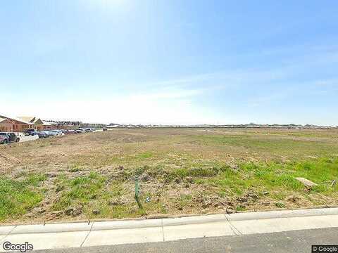 Evans Tree, ROSEVILLE, CA 95747